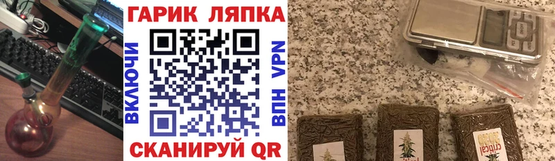 ГАШ Premium  Жиздра 