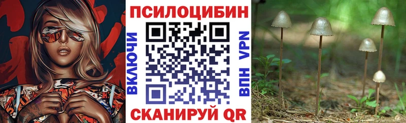 Псилоцибиновые грибы Psilocybe  KRAKEN tor  Жиздра 